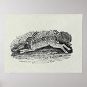 De haren poster (Voorkant)