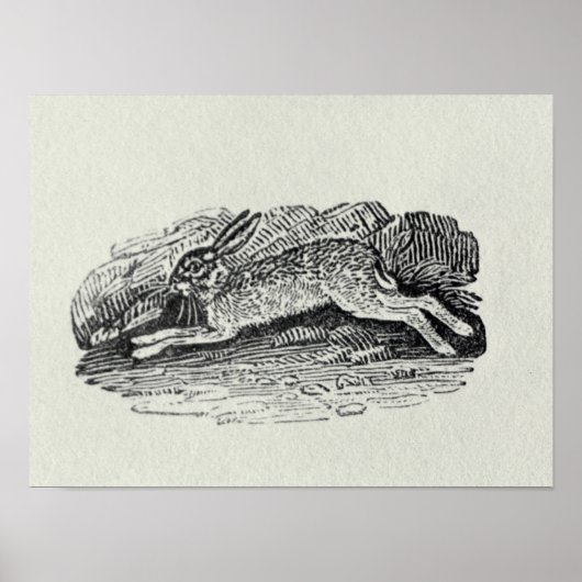 De haren poster (Voorkant)