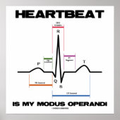 De hartslag is mijn Modus Operandi Sinus Rhythm Poster (Voorkant)