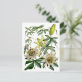 De hartstocht bloeit Botanische Illustratie Briefkaart (Staand voorkant)