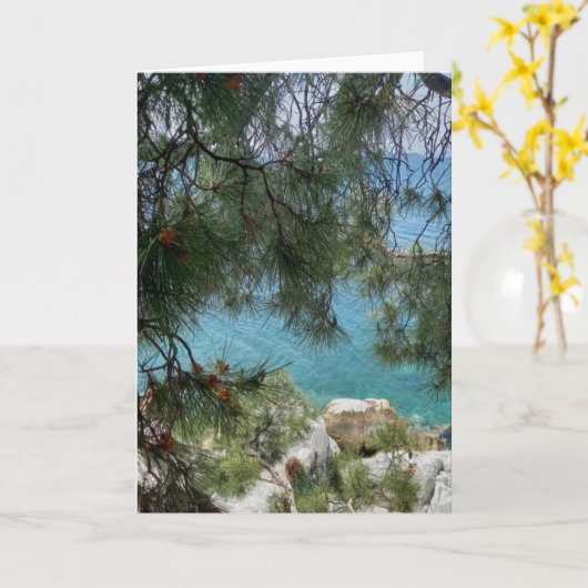 De haven van de haven van Skiathos. Blanco. Kaart (Gele Bloem)