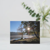 De haven van de kampboot in de zon briefkaart (Staand voorkant)