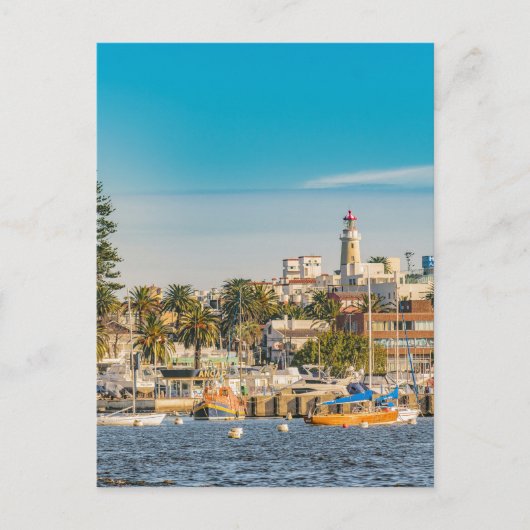 De Haven van Punta del Este, Uruguay Briefkaart (Voorkant)