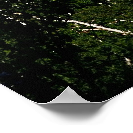 De haven van Skyline Poster (Hoek)