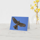 De Havik van de kuiper - Joe Sweeney - kaart (Gele Bloem)