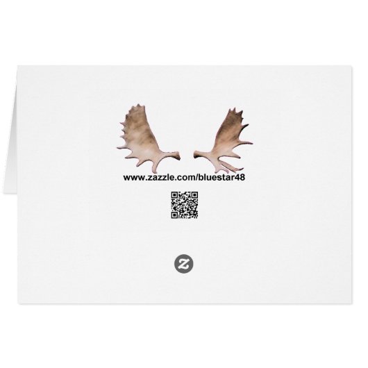 De Havilland Beaver Floatplane - Alaska (Achterkant Horizontaal)