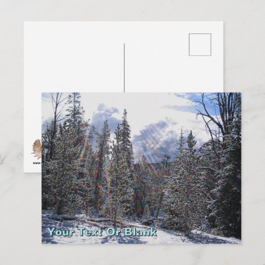 De Havilland Beaver Floatplane Briefkaart (Voorkant / Achterkant)