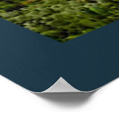 De Havilland Beaver Floatplane Poster (Hoek)