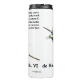 de Havilland Mosquito FB Mk. VI Thermosbeker (Achterkant)