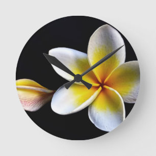 De Hawaiiaanse Frangipani Bloesems van Aloha Ronde Klok