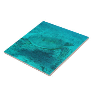 De Hawaiiaanse Groene Schildpad van het Zee Tegeltje