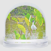 De Hawaiiaanse steltvogel Sneeuwbol (Achterkant)