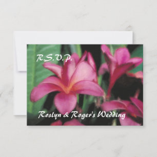 De Hawaiiaanse Tropische Kaarten van Plumeria RSVP Kaartje