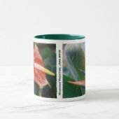 De Hawaiiaanse Tropische Mokken van de (Midden)