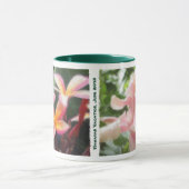 De Hawaiiaanse Tropische Mokken van Plumeria & van (Midden)