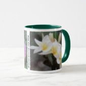 De Hawaiiaanse Tropische Mokken van Plumeria & van (Voorkant rechts)