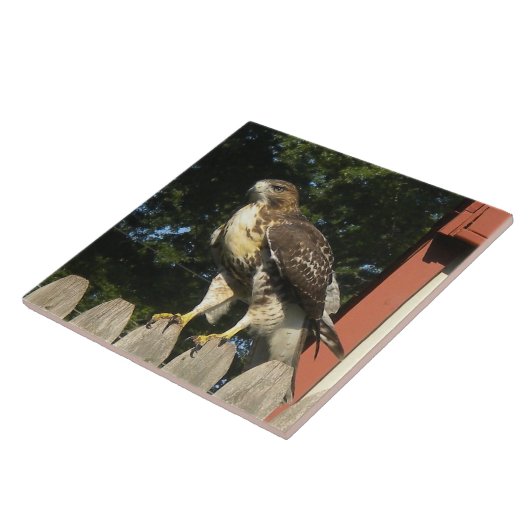 De Hawk Tile Trivet Tegeltje (Zijkant)