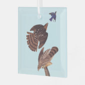 De Hawk van Audubon Stanley jaagt op een blauwe vo Glas Ornament (Voorkant links)