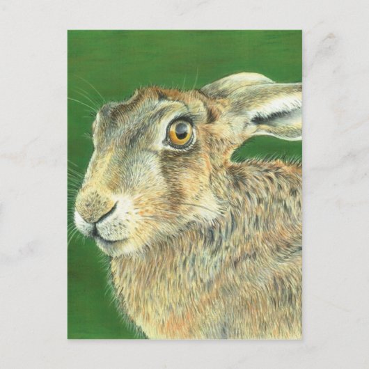 De Hazen van de lente Briefkaart (Voorkant)
