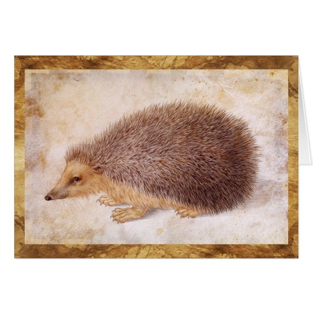 DE HEDGEHOG (Voorkant Horizontaal)
