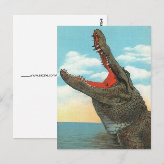 de heer Alligator Briefkaart (Voorkant / Achterkant)