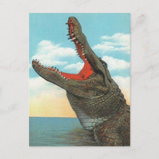 de heer Alligator Briefkaart (Voorkant)