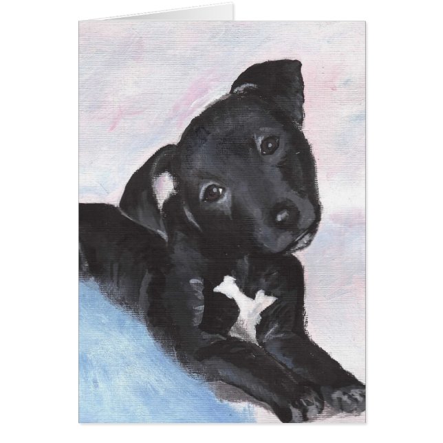 de heer Alvie (Voorkant)