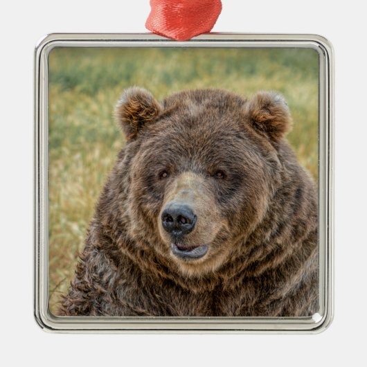 de heer Beer Metalen Ornament (Voorkant)