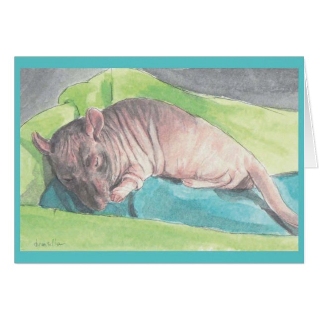 de heer Bigglesworth (Voorkant Horizontaal)