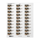 de heer Bill Etiket (Full Sheet)