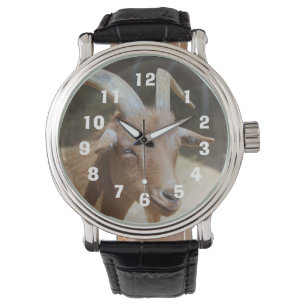 de heer Bill Horloge