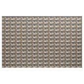 de heer Bill Stof (Yard (91,4 cm))