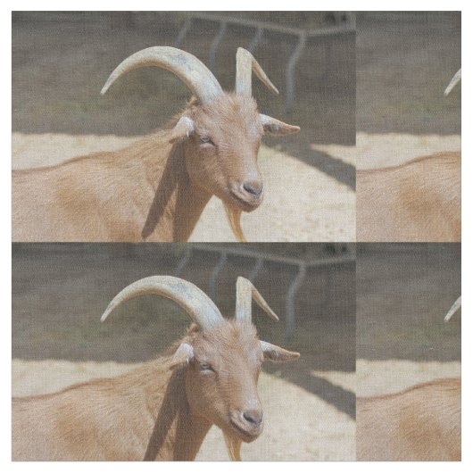 de heer Bill Stof (Close Up)