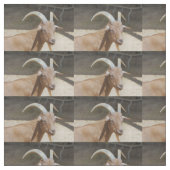 de heer Bill Stof (Swatch)