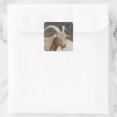 de heer Bill Vierkante Sticker (Tas)