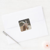 de heer Bill Vierkante Sticker (Envelop)