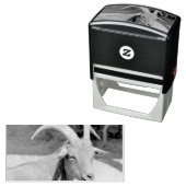 de heer Bill Zelfinktende Stempel (In situ)