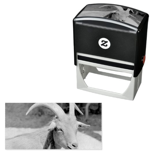 de heer Bill Zelfinktende Stempel (In situ)