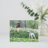 De heer Bo-Bo tegen de Moo Cow Briefkaart (Staand voorkant)