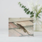 de heer Brown Lizard Briefkaart (Staand voorkant)