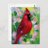 De heer Cardinaal Briefkaart (Voorkant / Achterkant)