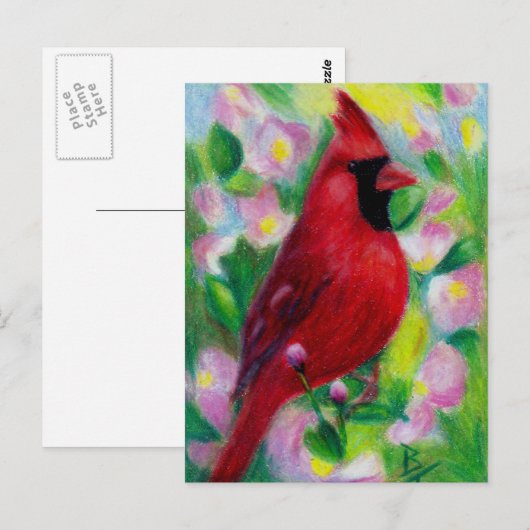 De heer Cardinaal Briefkaart (Voorkant / Achterkant)