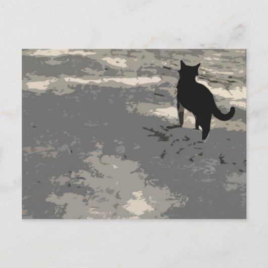 de heer Cat Briefkaart 010 (Voorkant)