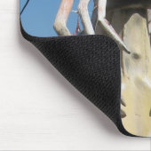 De heer Crustacean AKA Lobster Head ... Boeddhisti Muismat (Hoek)