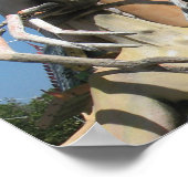 De heer Crustacean AKA Lobster Head ... Boeddhisti Poster (Hoek)