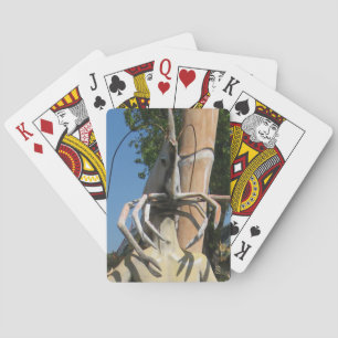 De heer Crustacean AKA Lobster Head ... Boeddhisti Speelkaarten