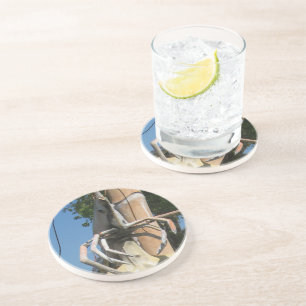 De heer Crustacean AKA Lobster Head ... Boeddhisti Zandsteen Onderzetter