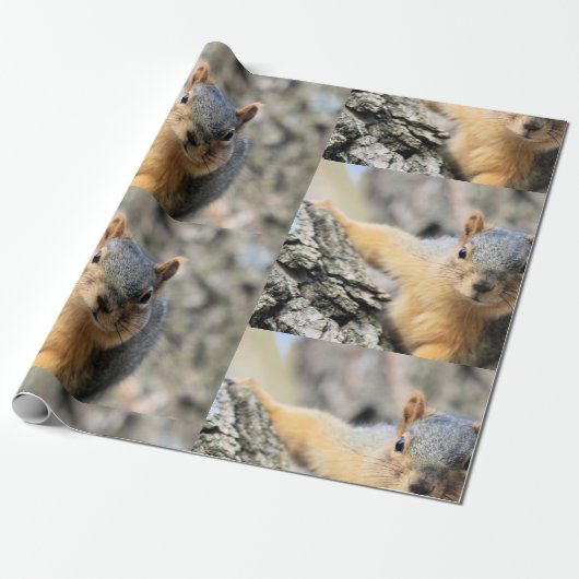 de heer Cutie Cadeaupapier (Uitgerold)