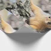 de heer Cutie Cadeaupapier (Hoek)