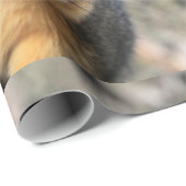 de heer Cutie Cadeaupapier (Rol Hoek)